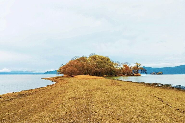 滋賀県　びわ湖　奥の洲