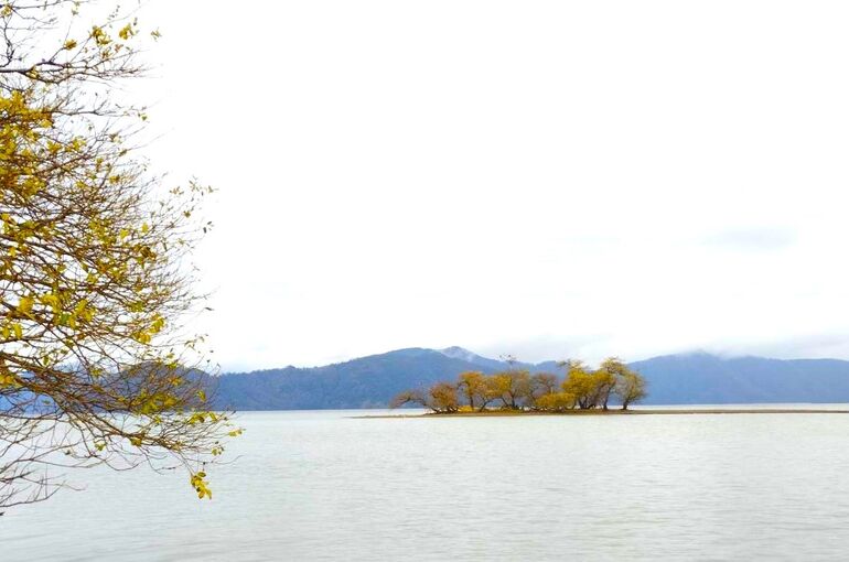 滋賀県　びわ湖　奥の洲