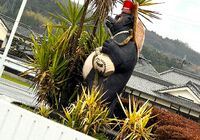 現場：大津市 平野