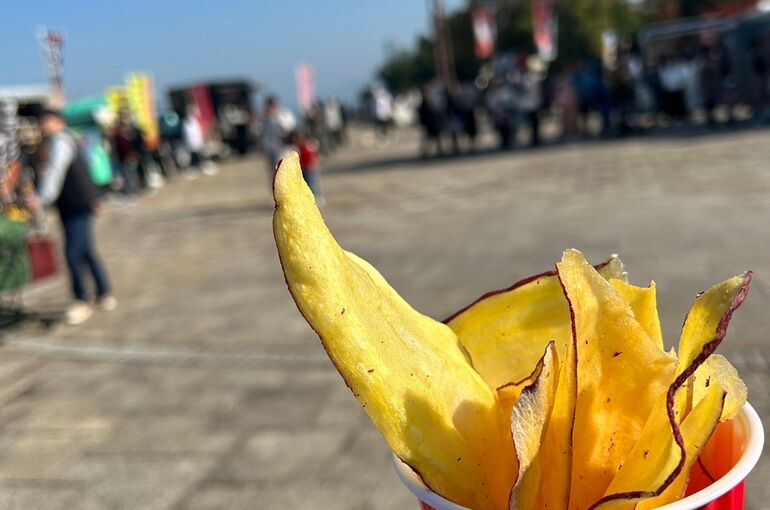 LINE_ALBUM_2023.11.3大津湖岸なぎさ公園マルシェ_231106_1